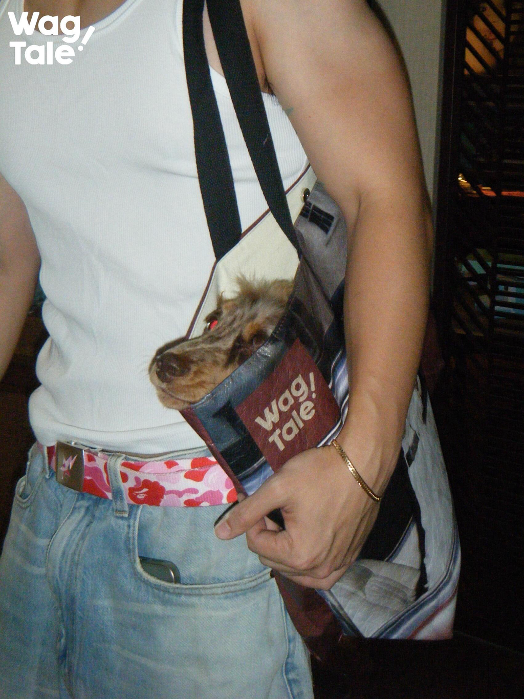 Water-Resistant Large Pet Carrier Tote Bag