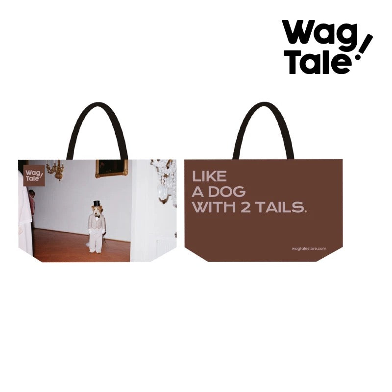 Water-Resistant Large Pet Carrier Tote Bag