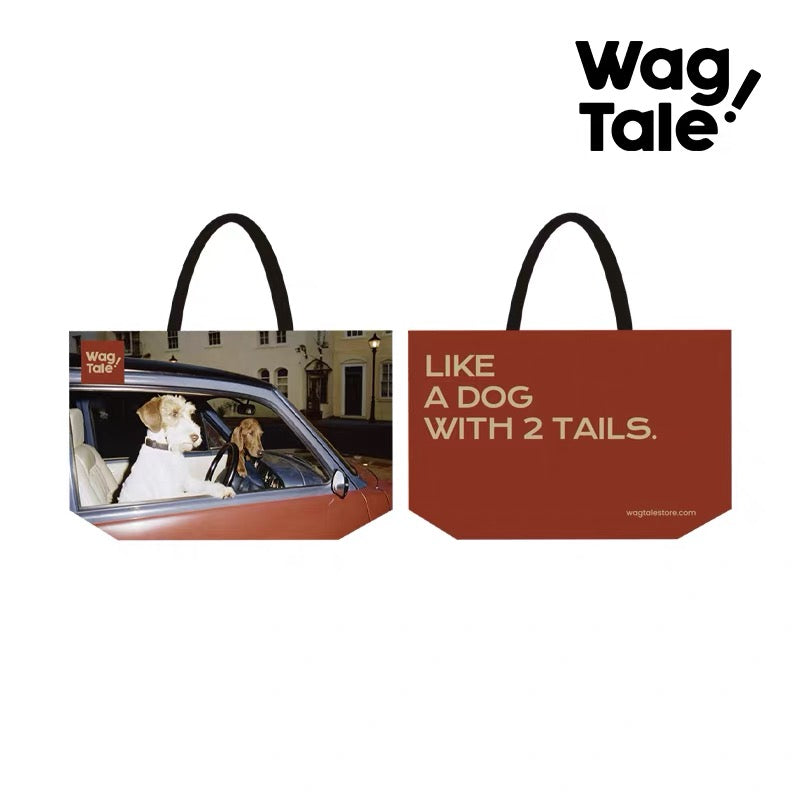 Water-Resistant Large Pet Carrier Tote Bag