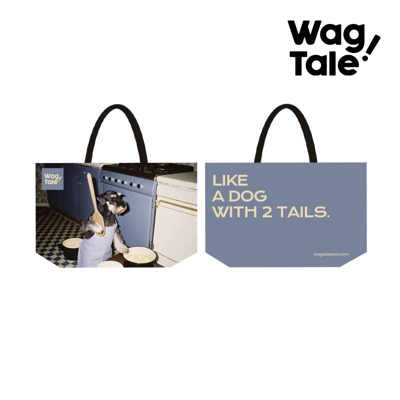 Water-Resistant Large Pet Carrier Tote Bag