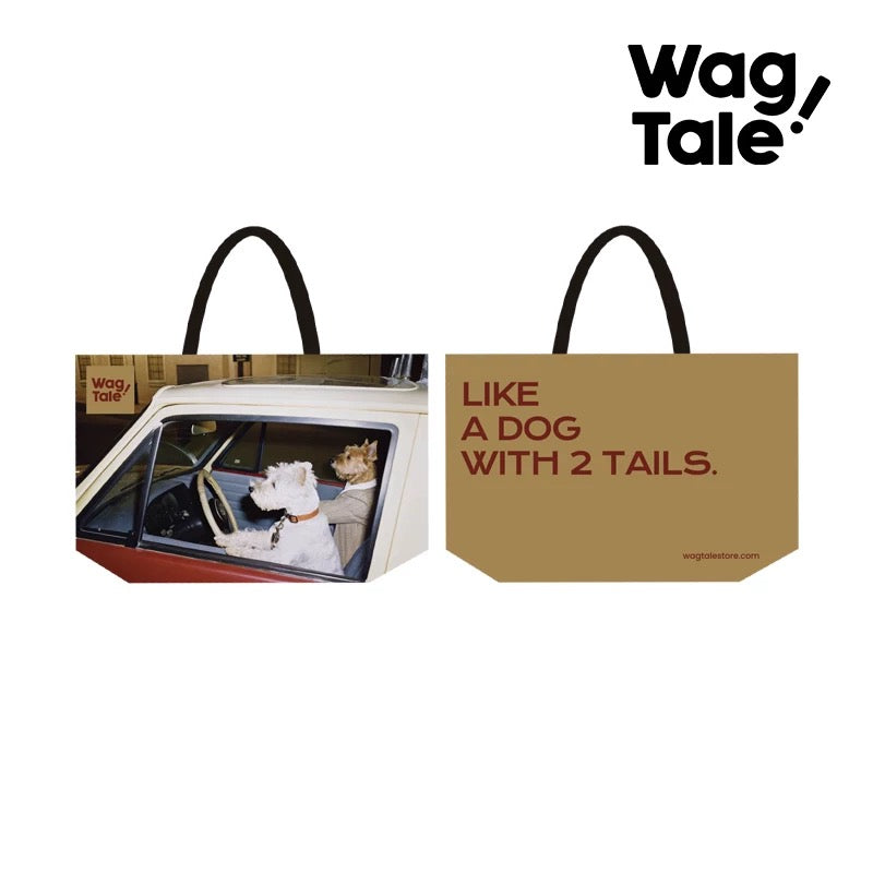 Water-Resistant Large Pet Carrier Tote Bag