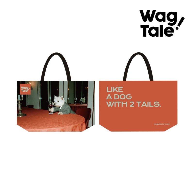 Water-Resistant Large Pet Carrier Tote Bag