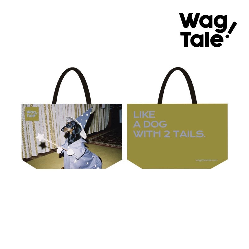 Water-Resistant Large Pet Carrier Tote Bag