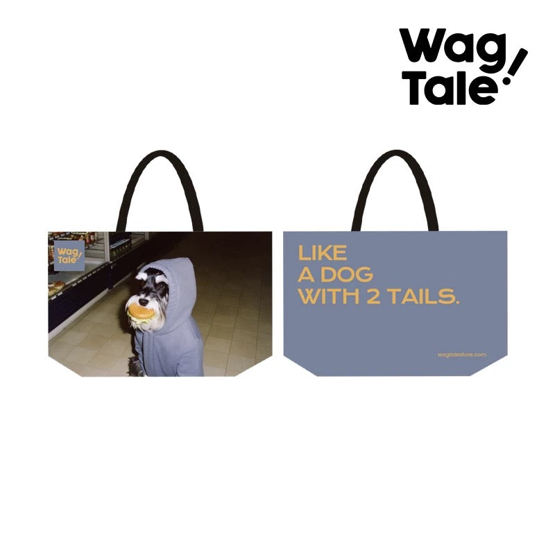 Water-Resistant Large Pet Carrier Tote Bag