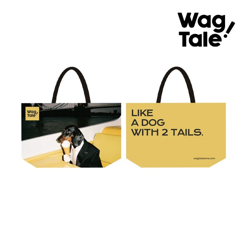 Water-Resistant Large Pet Carrier Tote Bag