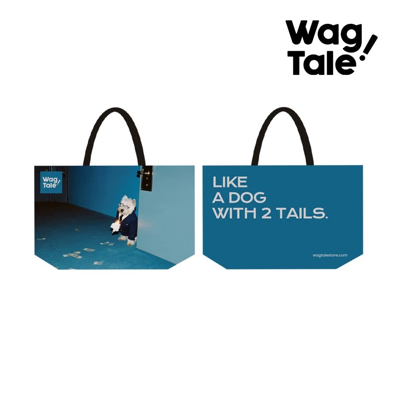 Water-Resistant Large Pet Carrier Tote Bag