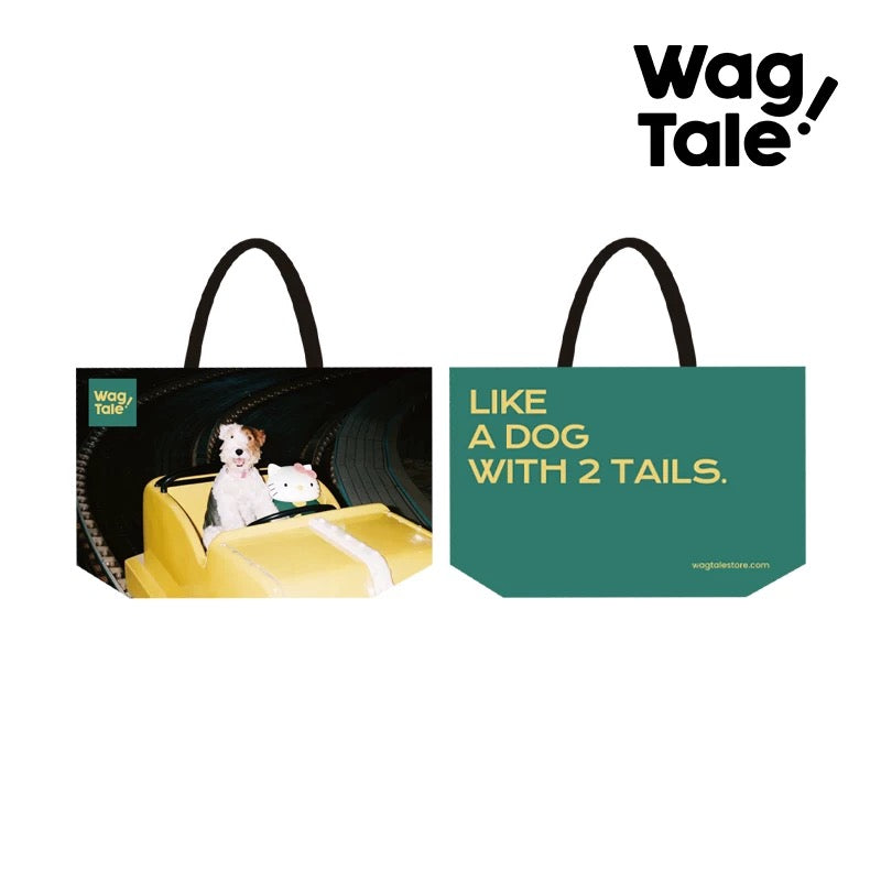 Water-Resistant Large Pet Carrier Tote Bag