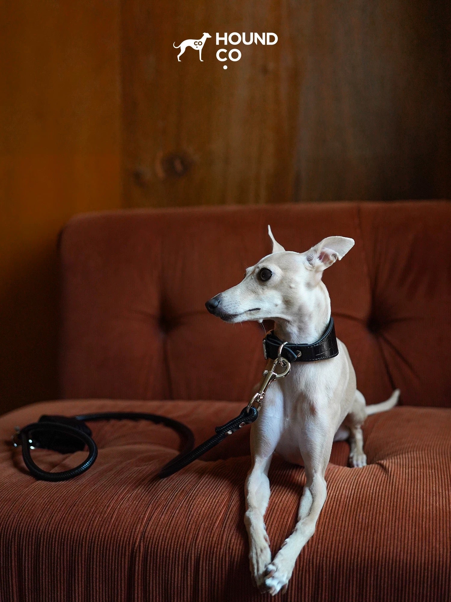 Leather Dog Collar-Leash Set - VOF