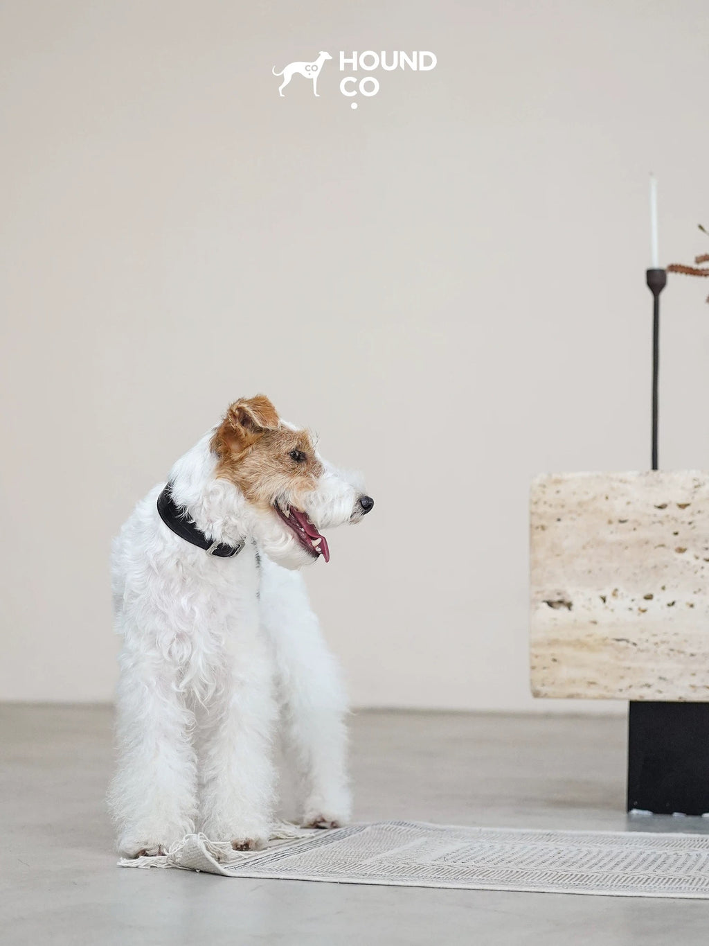 Leather Dog Collar-Leash Set - VOF