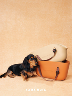 Dachshund Carrier Bag - VOF