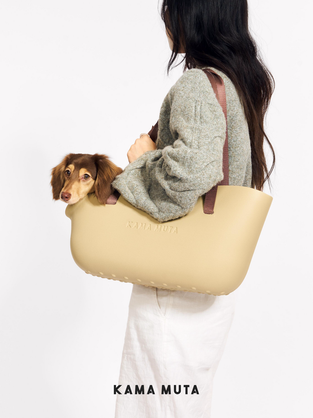 Dachshund Carrier Bag - VOF