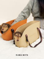 Dachshund Carrier Bag - VOF