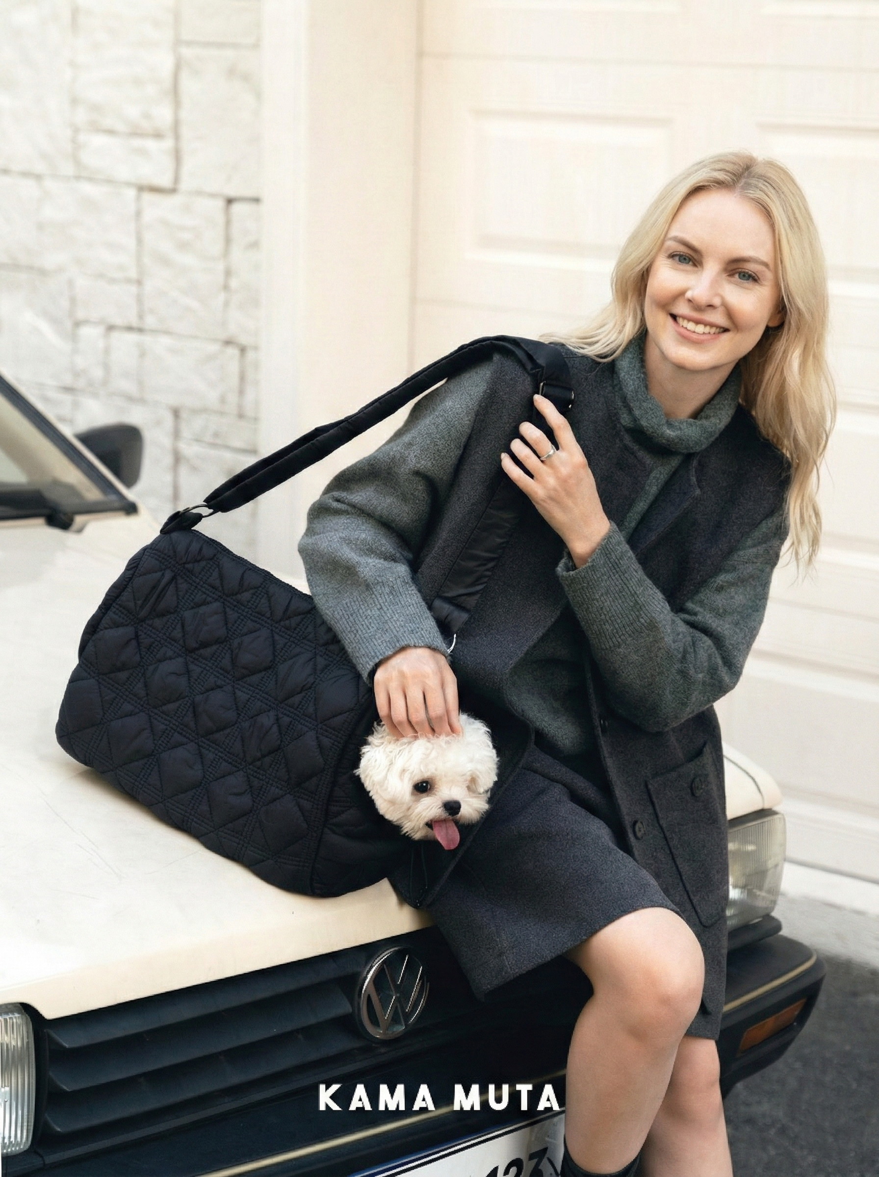 Pincone Enclosed Pet Carrier - VOF