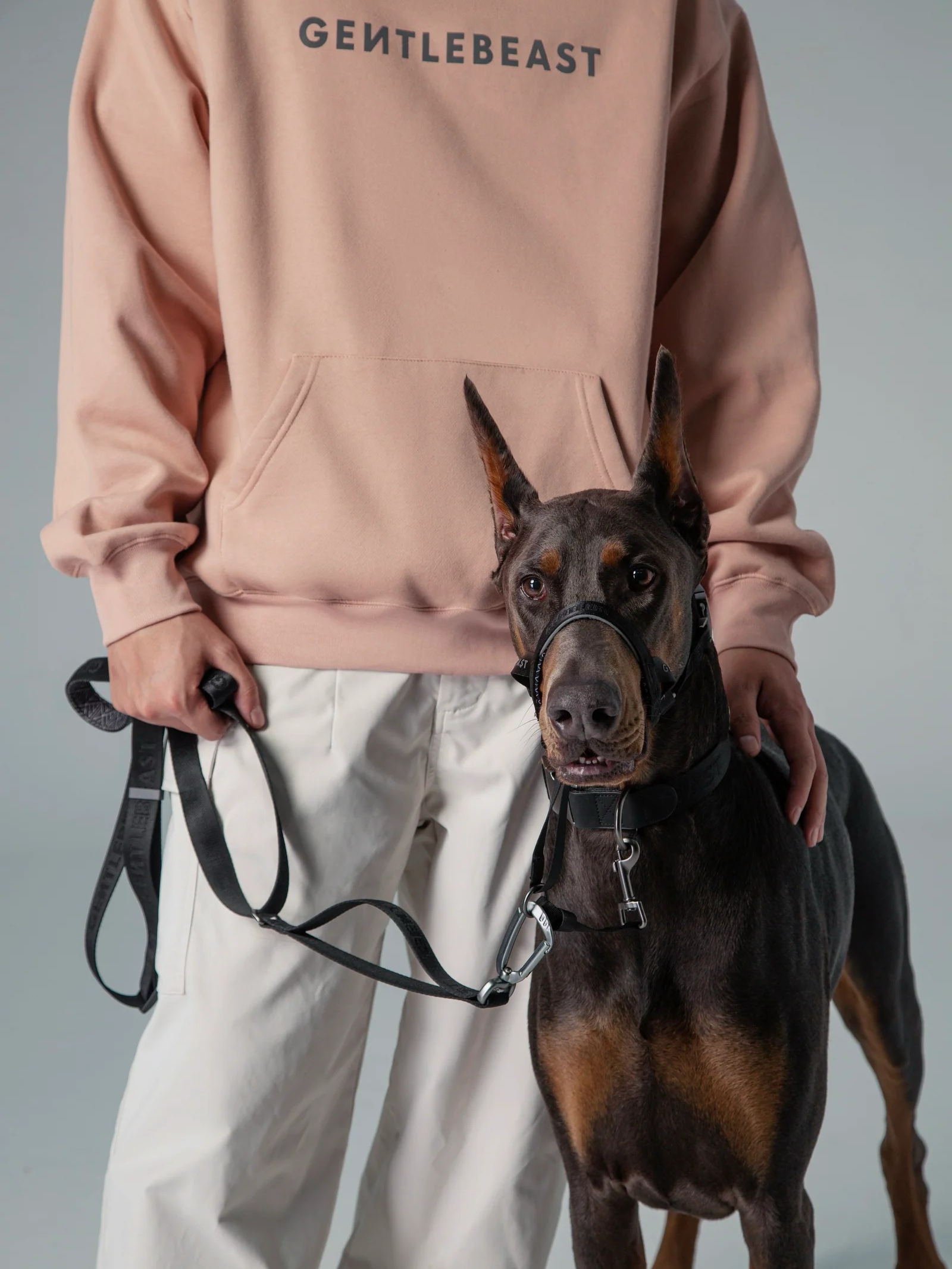 Dog Headcollar Black - VOF