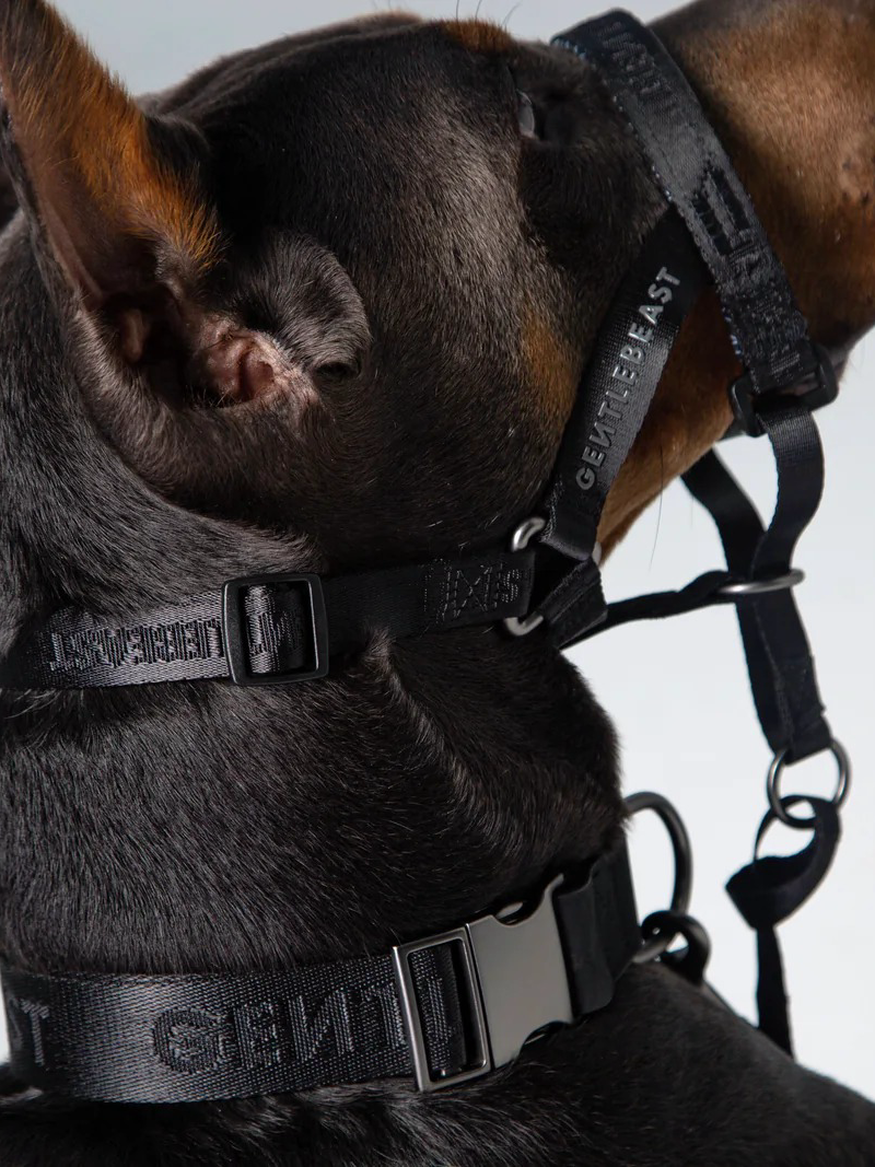Black dog headcollar from GENTLEBEAST displayed on a neutral background, showcasing its adjustable design and sturdy material.