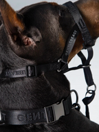 Black dog headcollar from GENTLEBEAST displayed on a neutral background, showcasing its adjustable design and sturdy material.