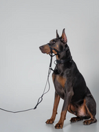 Black GENTLEBEAST dog leash displayed on a wooden surface, showcasing its sturdy material and sleek design.