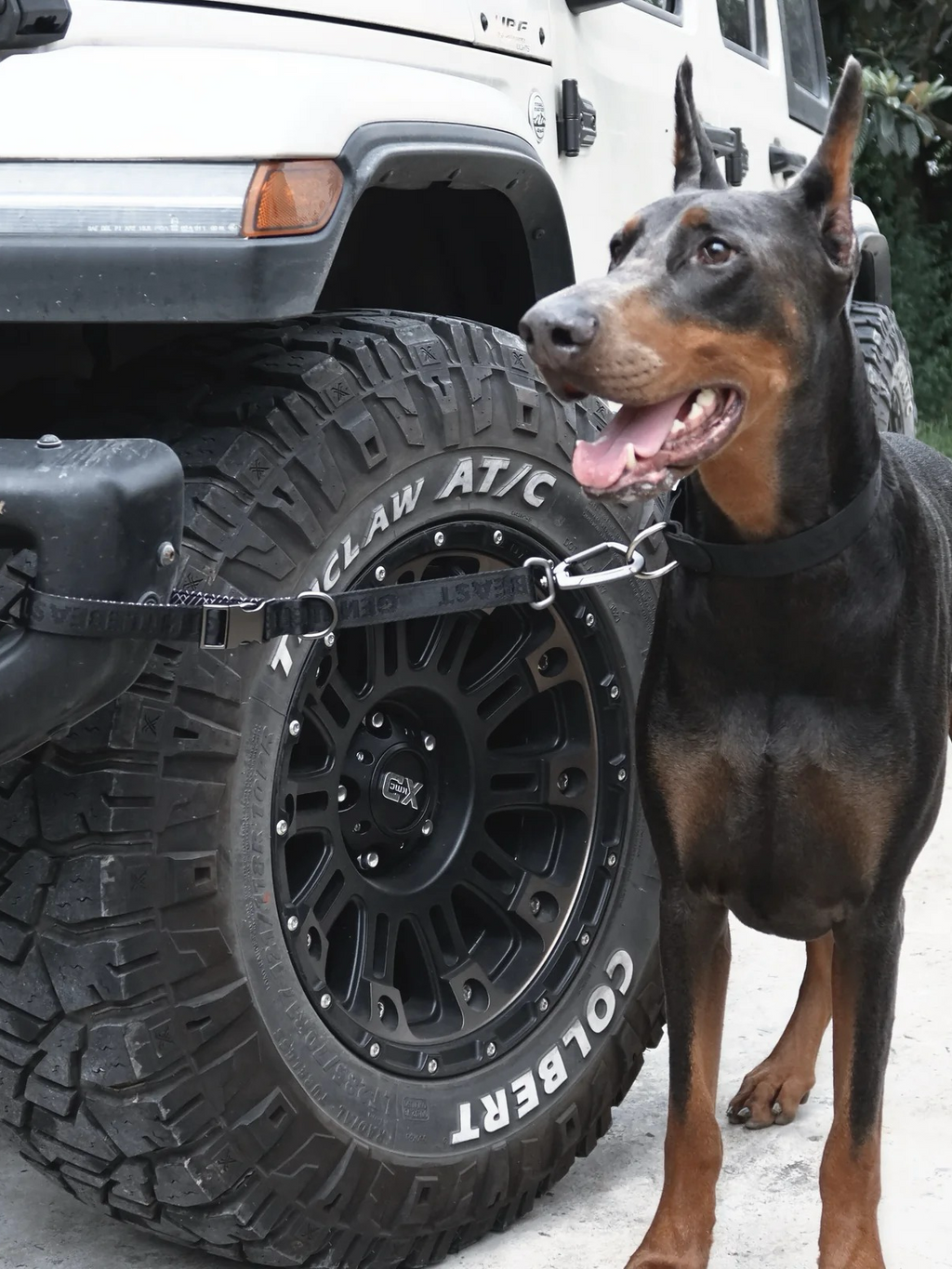 GENTLEBEAST black short dog leash displayed on a wooden surface with a metal clip and soft grip handle.