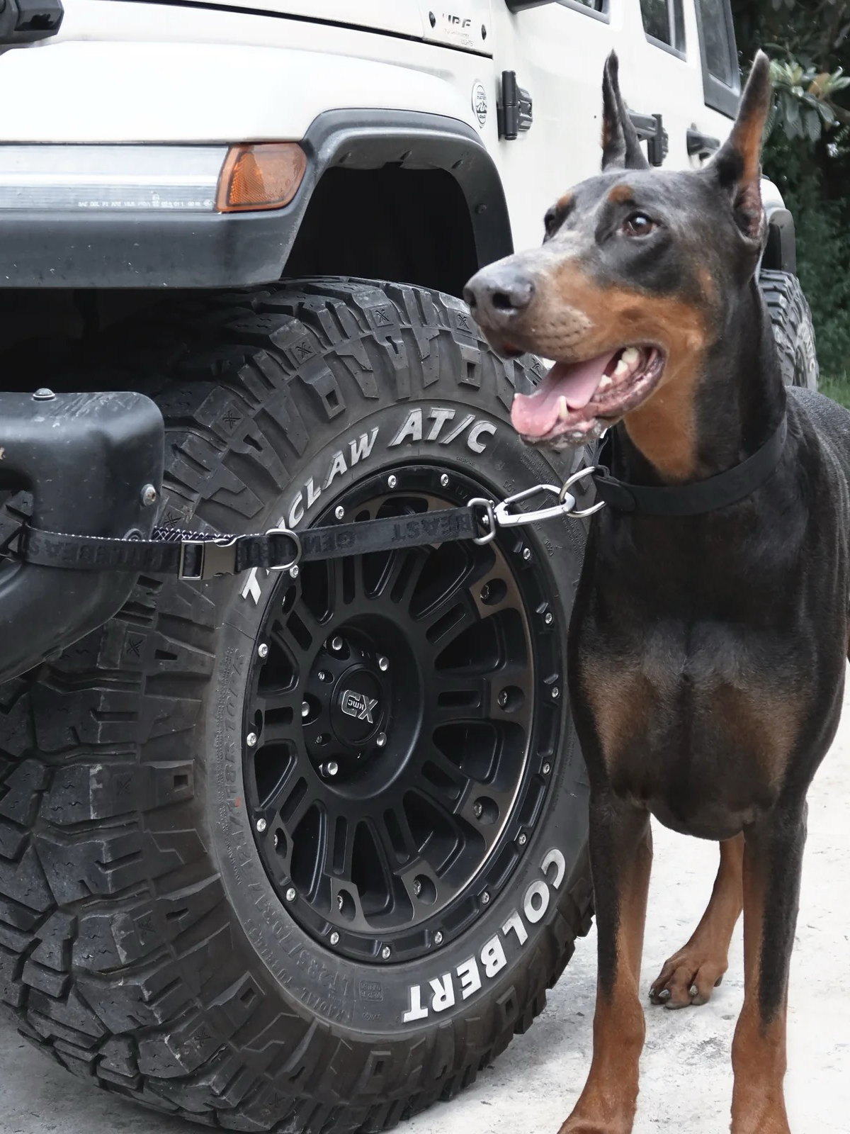 GENTLEBEAST black short dog leash displayed on a wooden surface with a metal clip and soft grip handle.