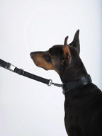 GENTLEBEAST black short dog leash displayed on a textured surface, showcasing its sturdy design and comfortable grip.