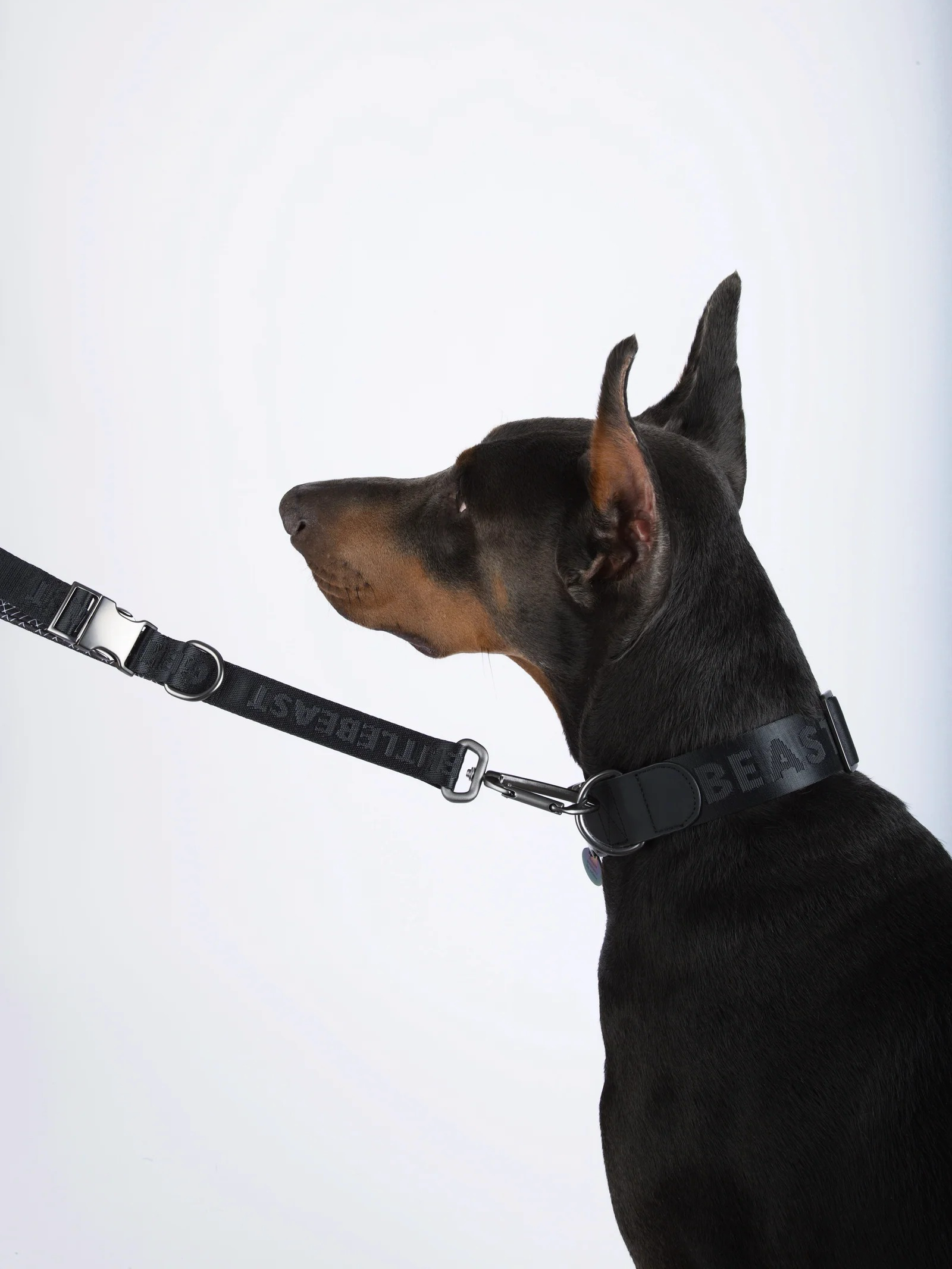 GENTLEBEAST black short dog leash displayed on a textured surface, showcasing its sturdy design and comfortable grip.