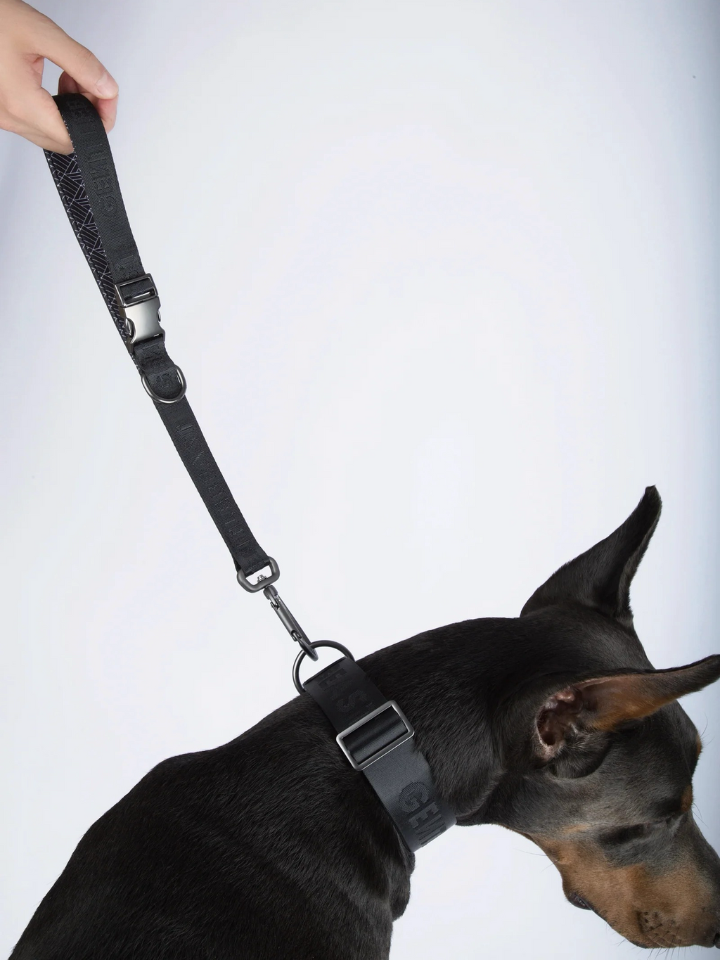 Black short dog leash by GENTLEBEAST, featuring a sturdy clip and comfortable handle for walking your pet.