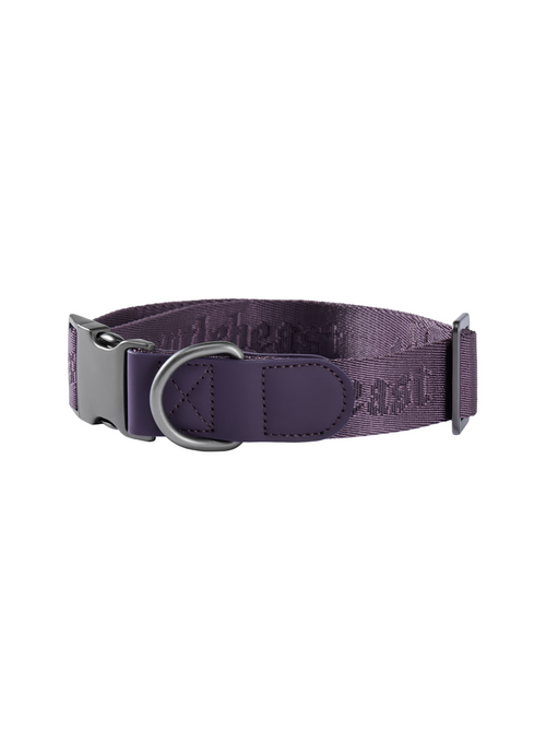 Purple GENTLEBEAST dog collar displayed on a wooden surface with a metal buckle and adjustable strap.