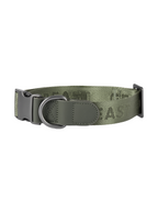 GENTLEBEAST green dog collar displayed on a wooden surface with a metal buckle and adjustable strap.