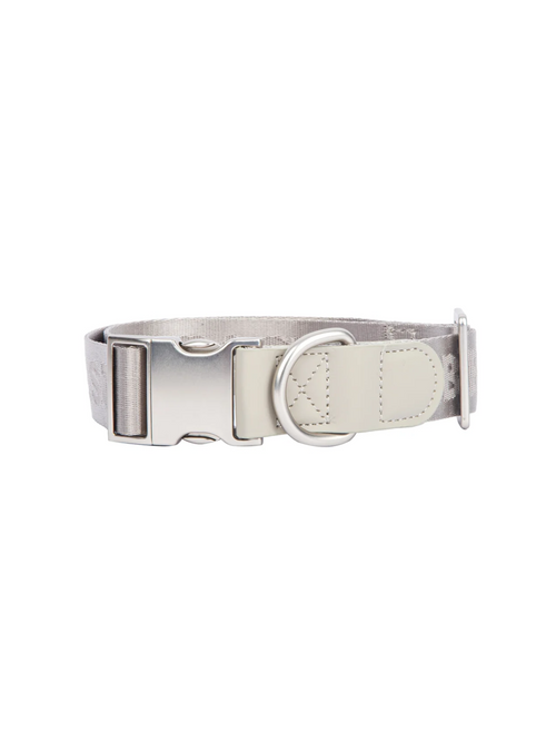 GENTLEBEAST silver dog collar displayed on a soft surface with a shiny finish and adjustable buckle detail.