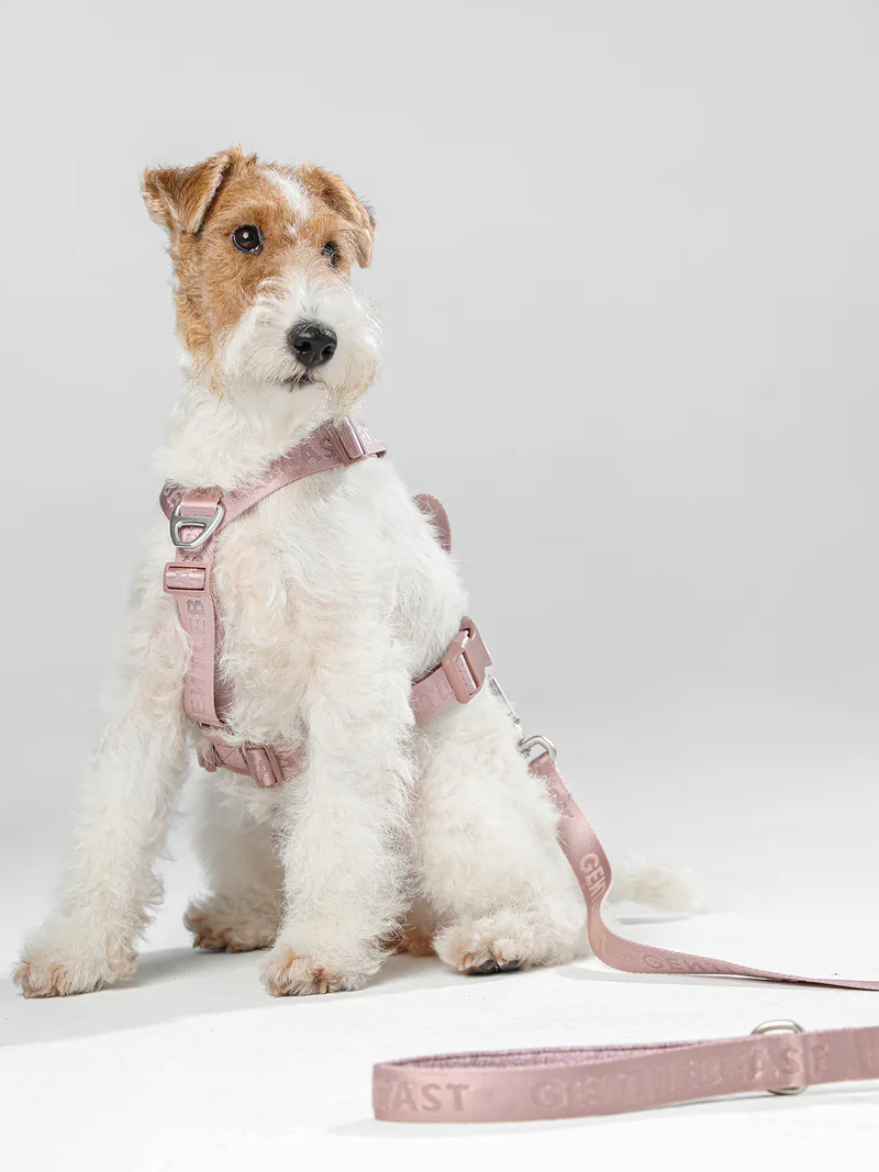 GENTLEBEAST pink dog leash with sturdy clip and soft grip handle, perfect for daily walks and outdoor adventures.