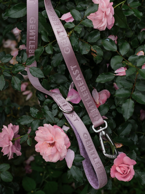 Pink GENTLEBEAST dog leash displayed on a wooden surface with a soft focus background.
