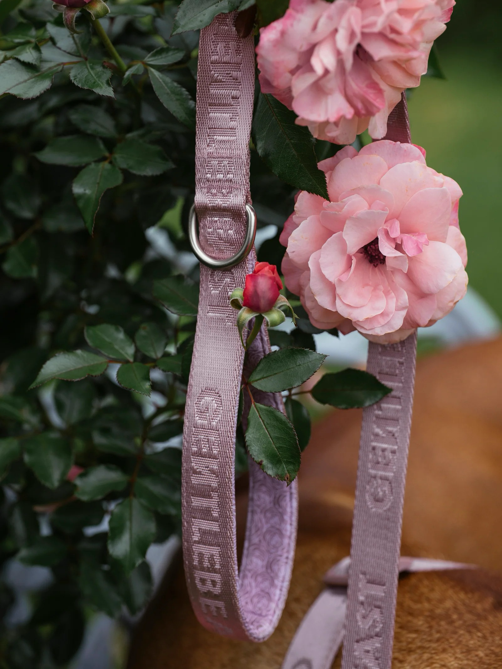 Pink GENTLEBEAST dog leash with a sturdy clasp and comfortable grip, displayed against a neutral background.