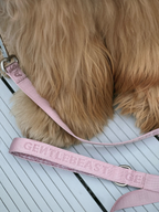 GENTLEBEAST pink dog leash displayed on a wooden surface with a metal clip and soft grip handle.