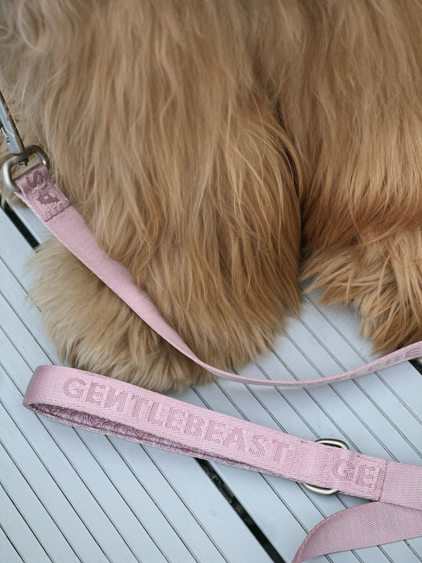 GENTLEBEAST pink dog leash displayed on a wooden surface with a metal clip and soft grip handle.