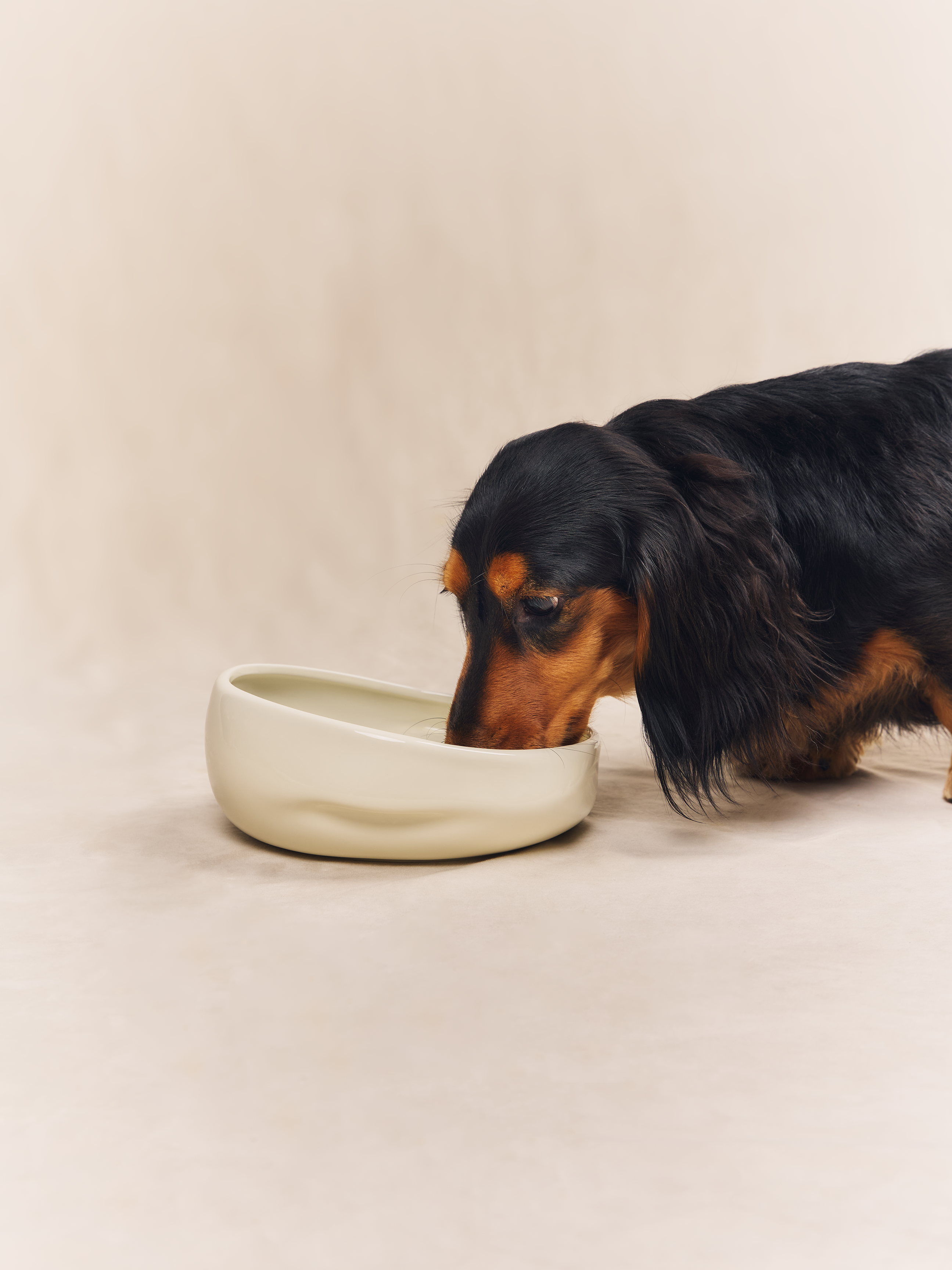 KAMA MUTA ceramic pet bowl in a sleek design, featuring a glossy finish and paw print pattern.