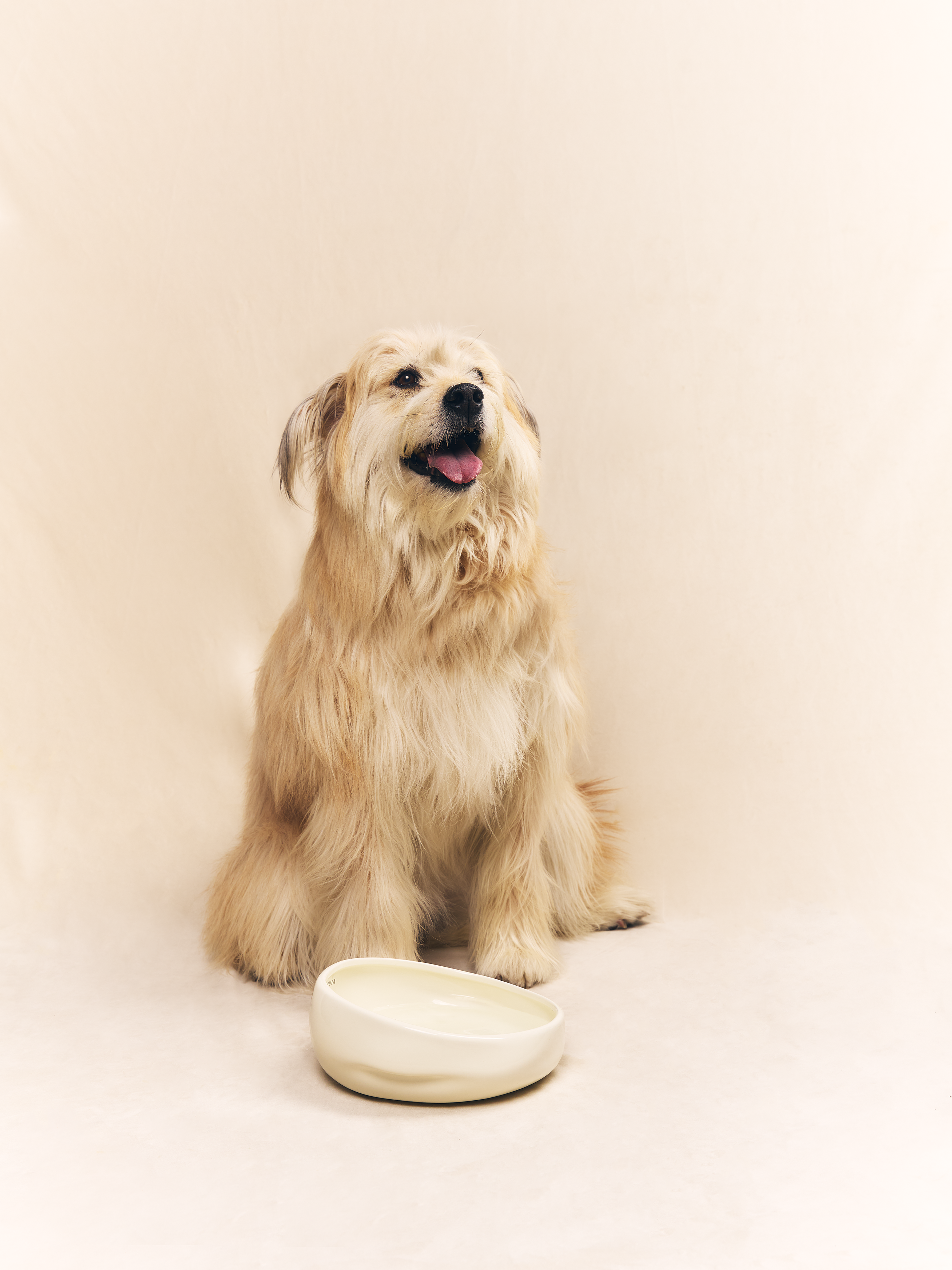 Ceramic pet bowl by KAMA MUTA, featuring a smooth finish and a playful design, perfect for cats and dogs.