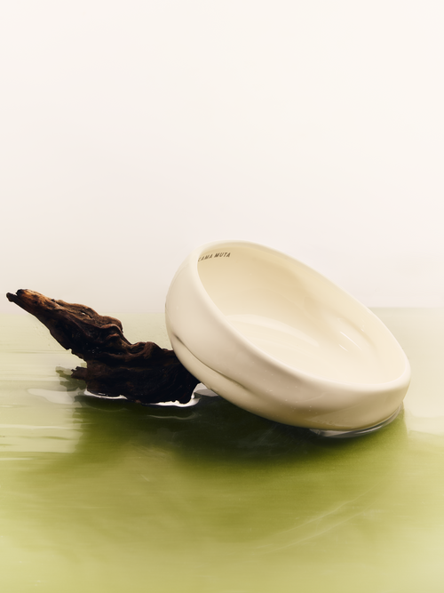 Ceramic pet bowl by KAMA MUTA featuring a sleek design and vibrant colors, perfect for dogs or cats.