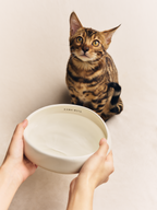KAMA MUTA ceramic pet bowl in a vibrant design, ideal for dogs and cats, showcasing its smooth finish and sturdy structure.