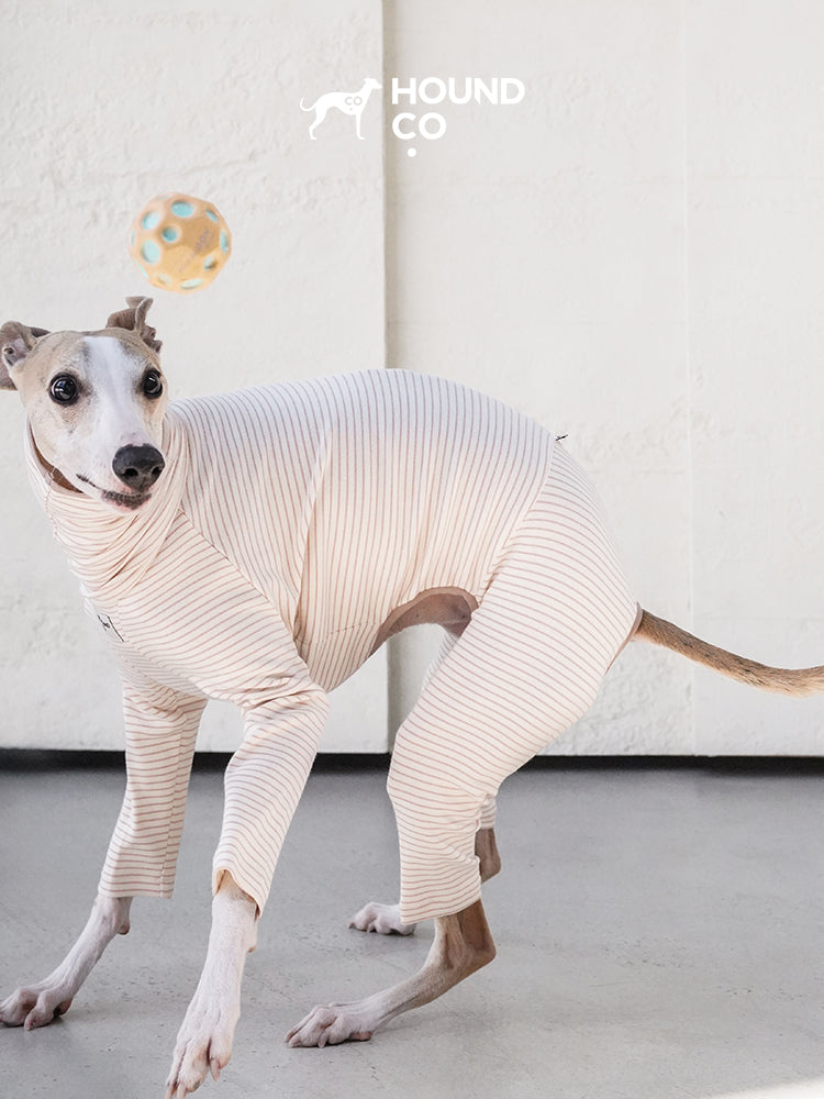 Strips Dog Pajama