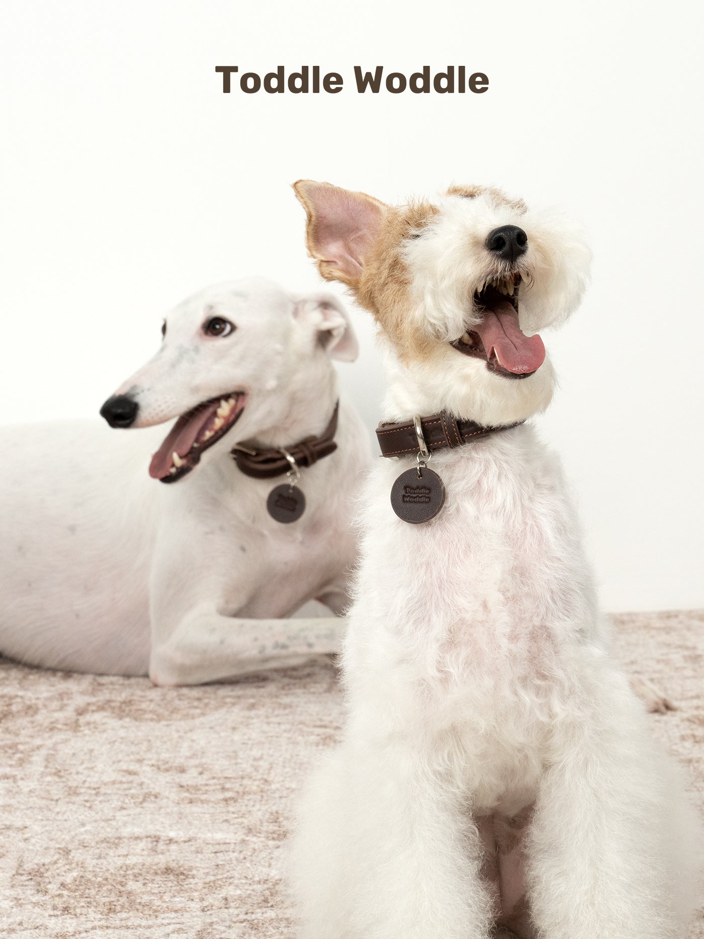 Leather Dog Collar - VOF