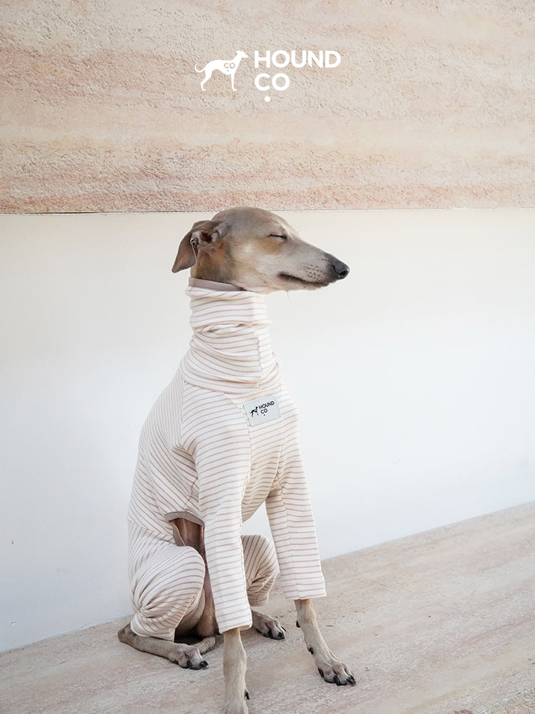 Strips Dog Pajama