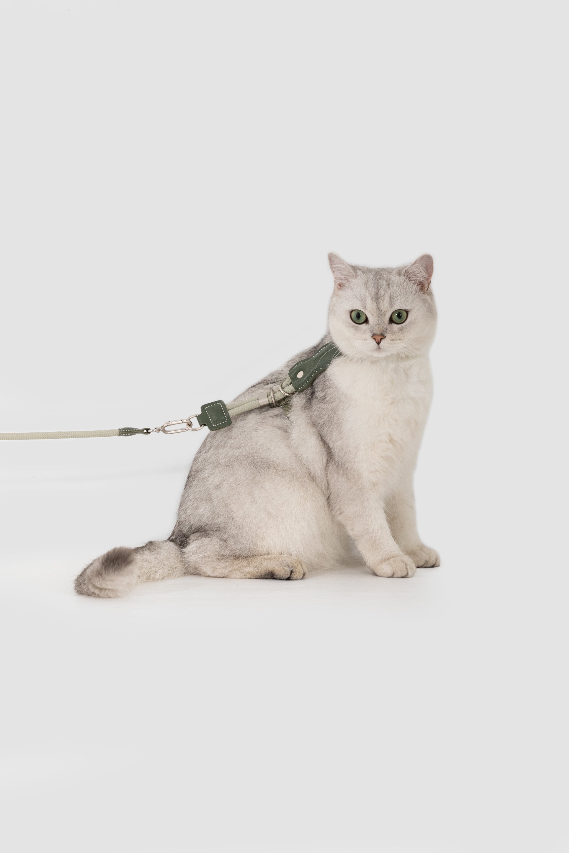 Cat Harness Leash Set