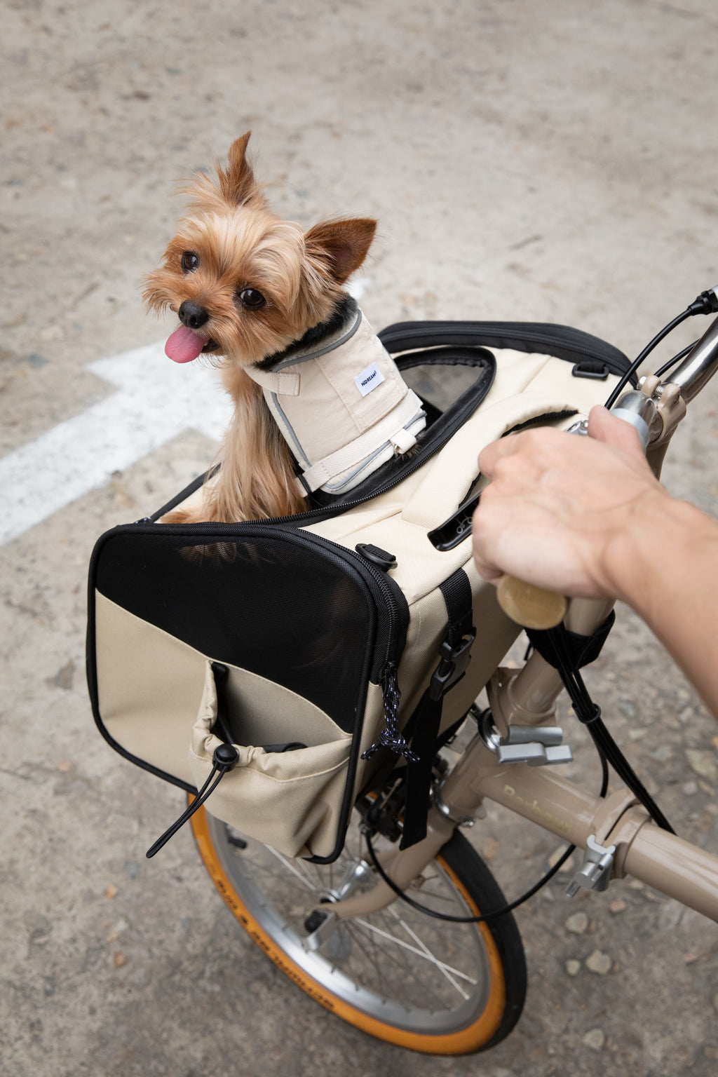 Bike Pet Bag