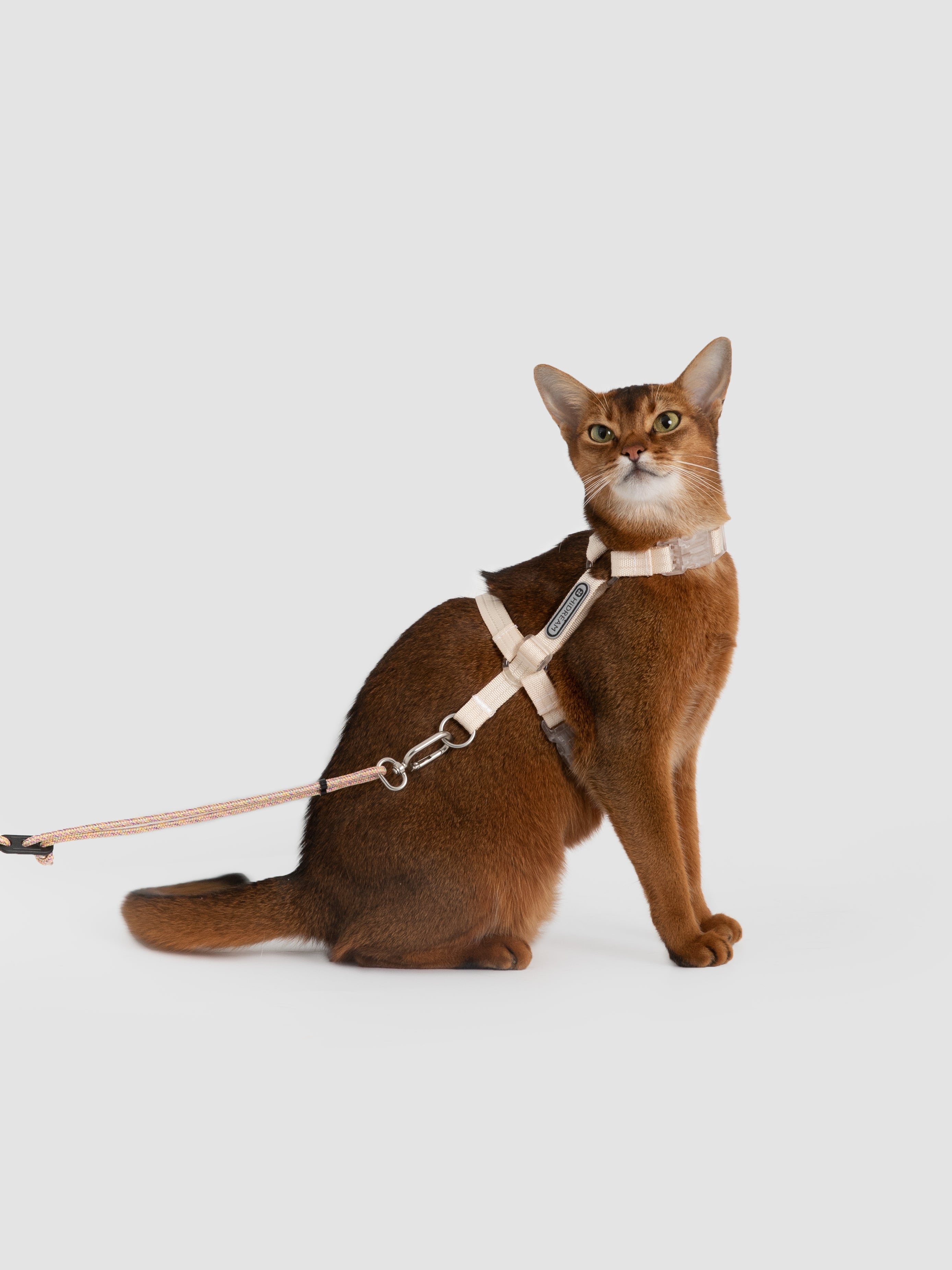 Cat Harness Set