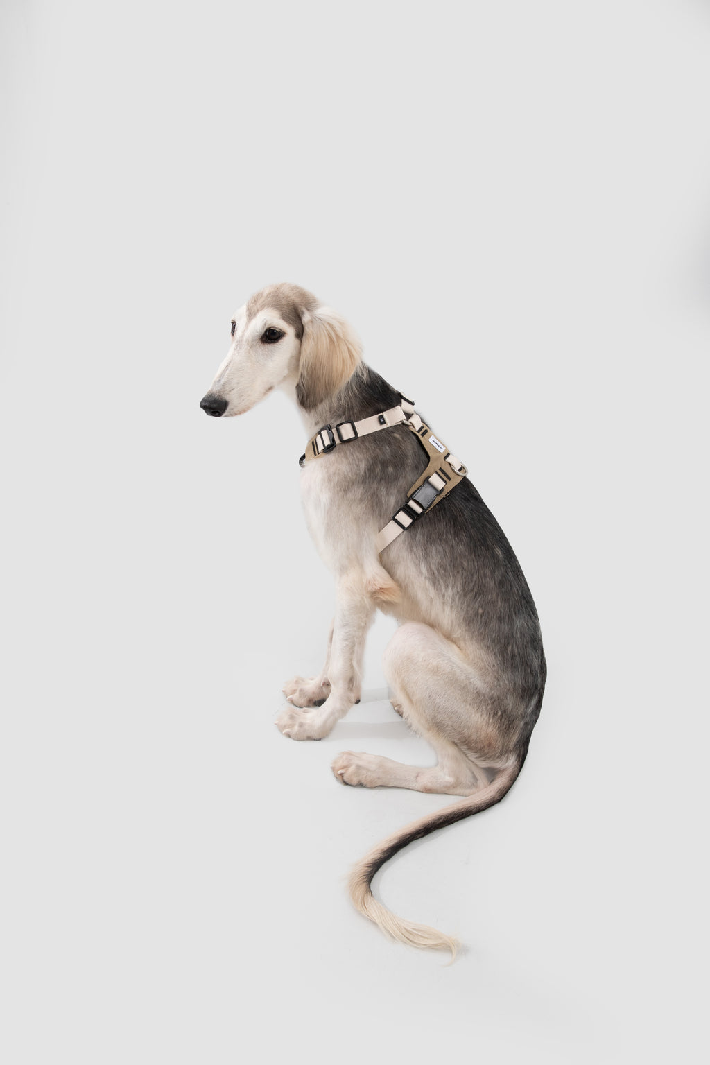 Ergonomic Dog Harness