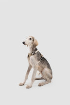 Ergonomic Dog Harness