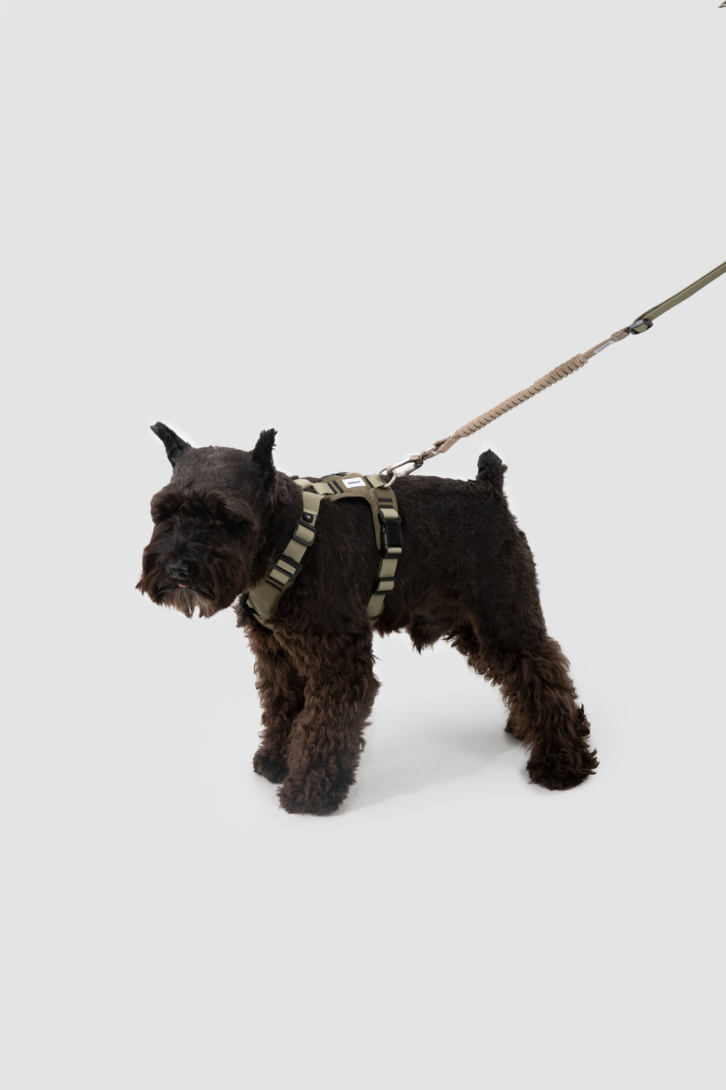 Ergonomic Dog Harness