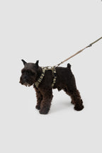 Ergonomic Dog Harness