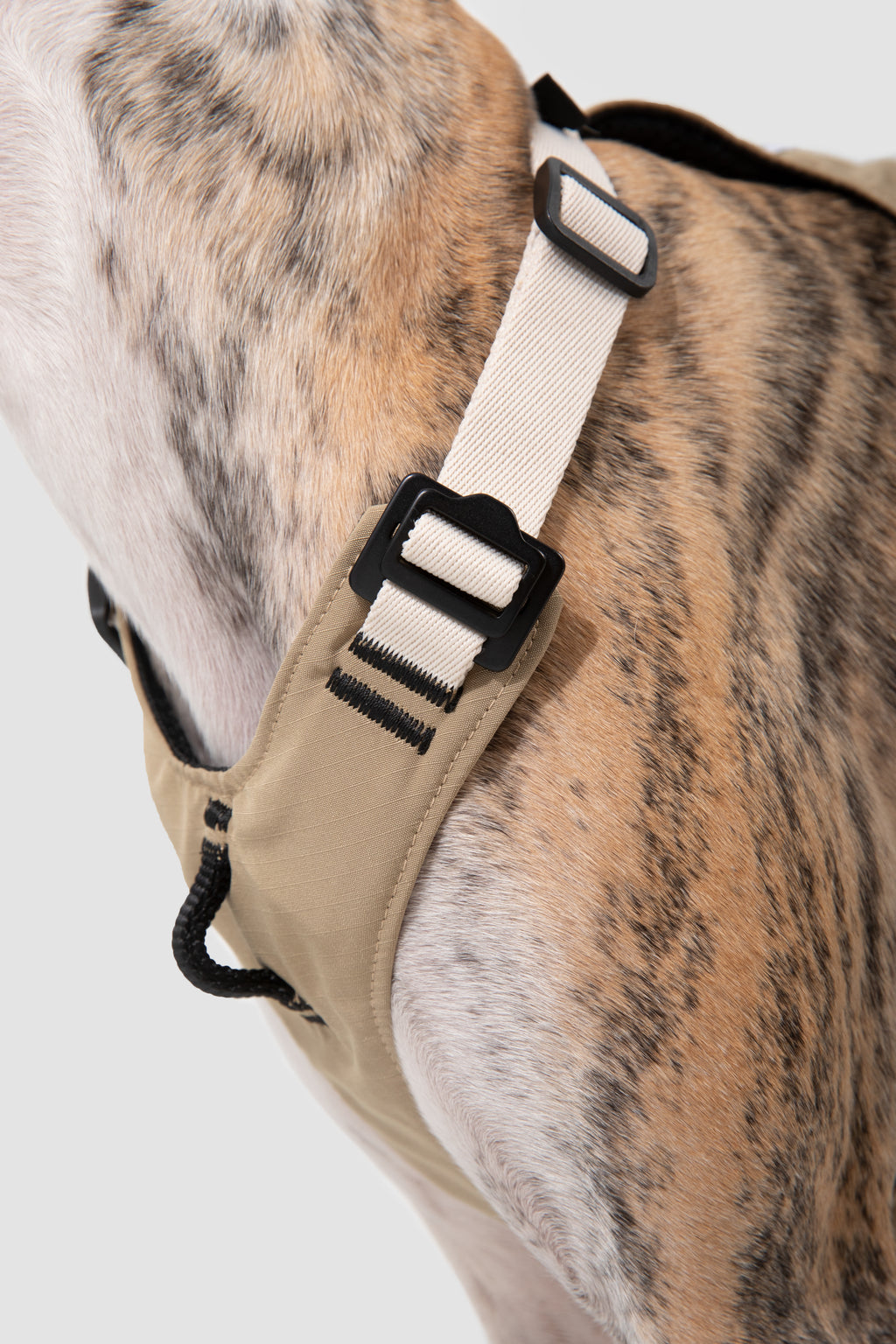 Ergonomic Dog Harness