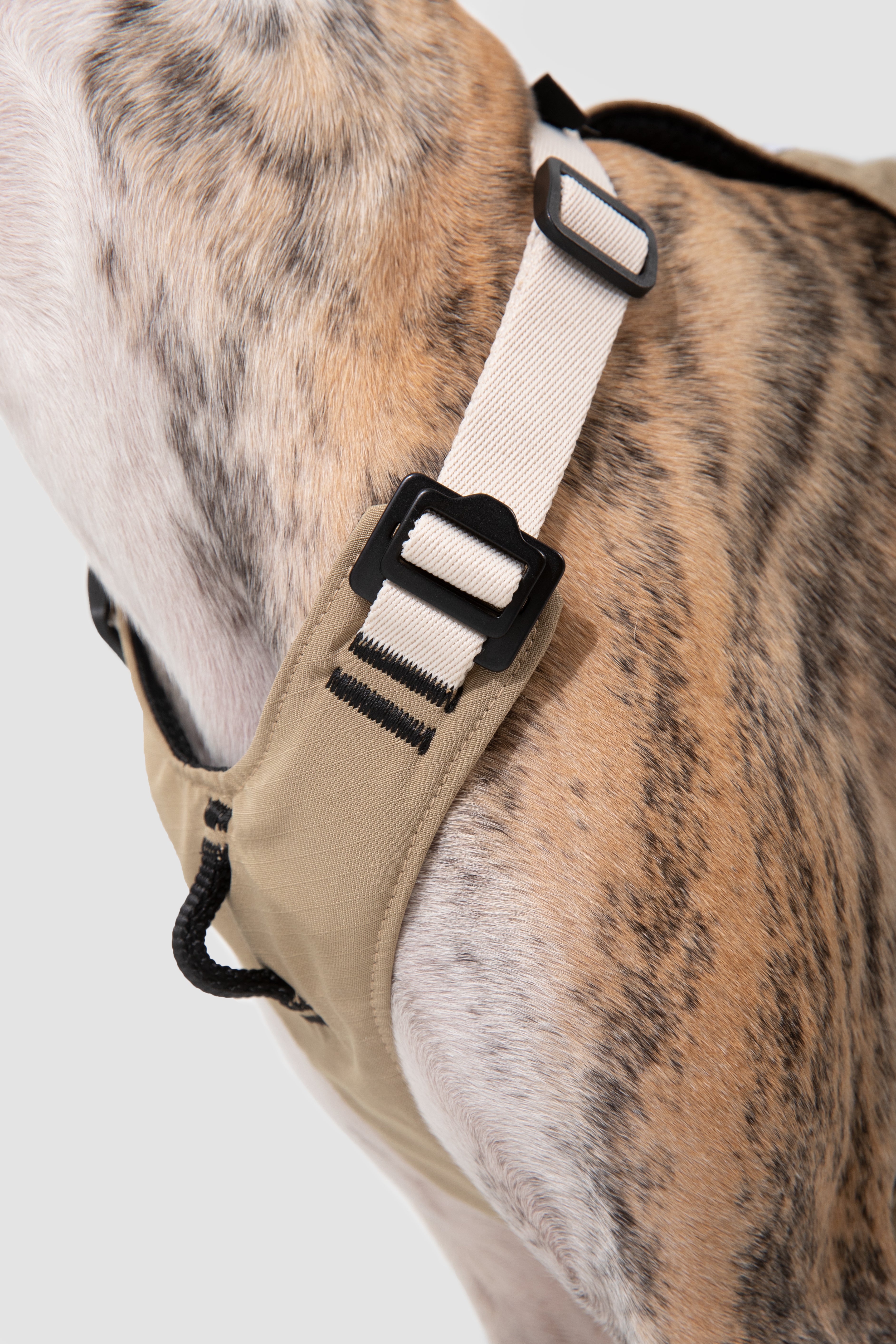 Ergonomic Dog Harness